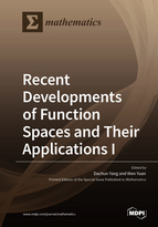 Special issue Recent Developments of Function Spaces and Their Applications I book cover image