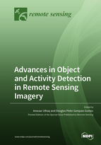 Advances in Object and Activity Detection in Remote Sensing Imagery