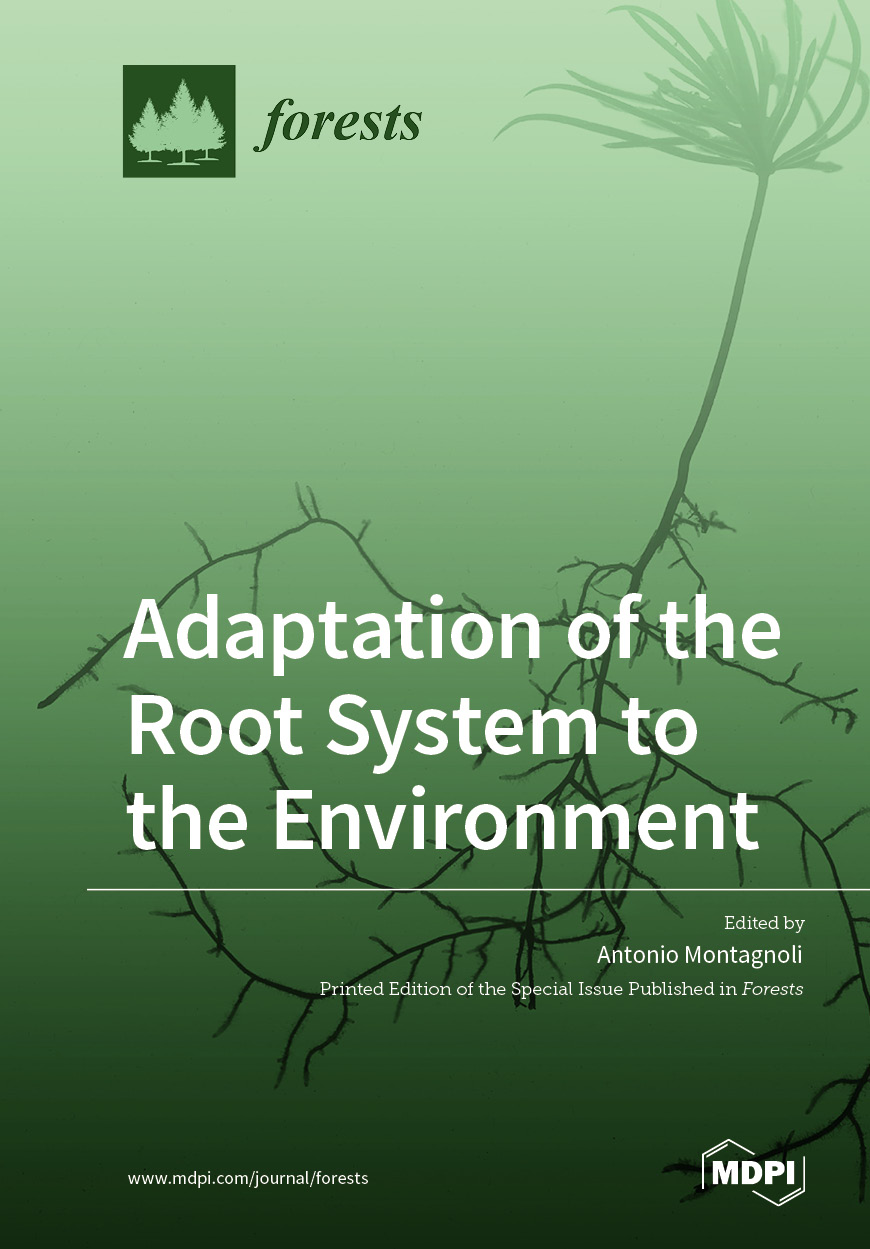 Adaptation of the Root System to the Environment | MDPI Books