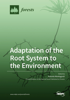 Special issue Adaptation of the Root System to the Environment book cover image