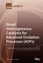Special issue Novel Heterogeneous Catalysts for Advanced Oxidation Processes (AOPs) book cover image