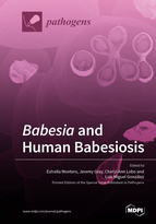 Special issue <em>Babesia</em> and Human Babesiosis book cover image