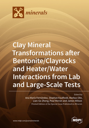 Clay Mineral Transformations after Bentonite/Clayrocks and Heater/Water Interactions from Lab and Large-Scale Tests