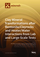 Special issue Clay Mineral Transformations after Bentonite/Clayrocks and Heater/Water Interactions from Lab and Large-Scale Tests book cover image