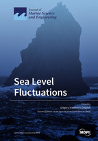 Special issue Sea Level Fluctuations book cover image