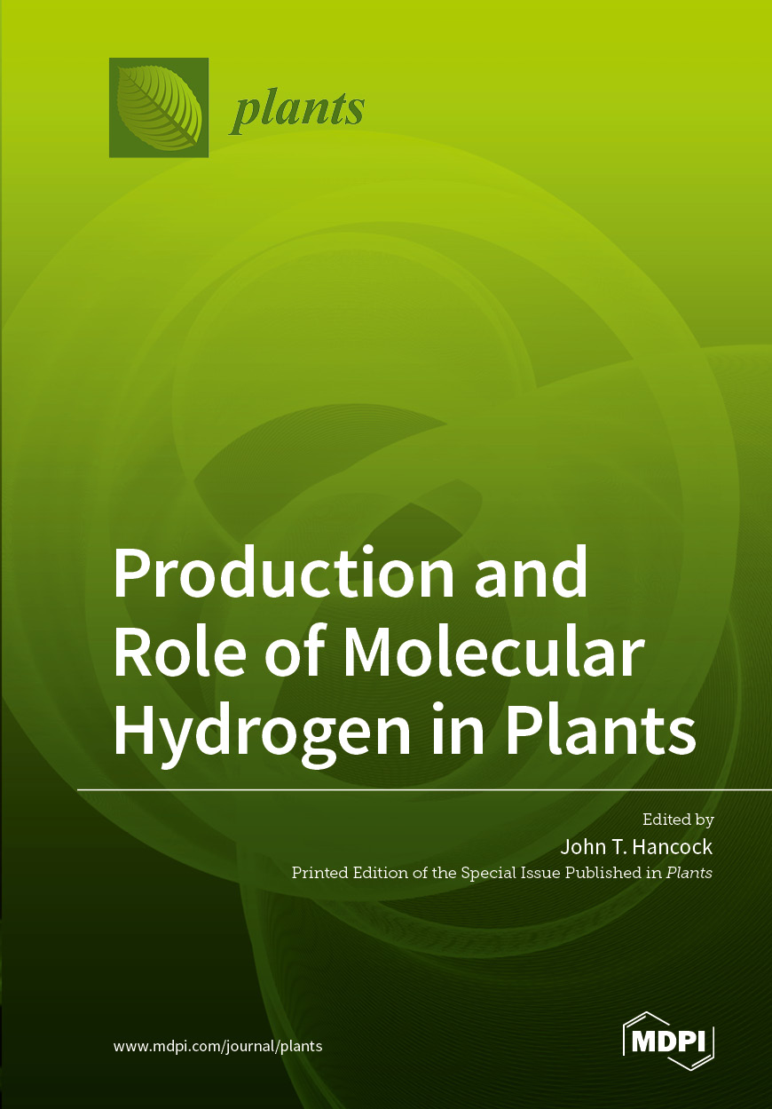 Book cover: Production and Role of Molecular Hydrogen in Plants