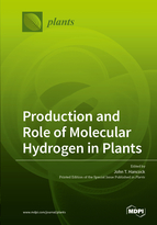 Production and Role of Molecular Hydrogen in Plants