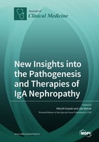 New Insights into the Pathogenesis and Therapies of IgA Nephropathy