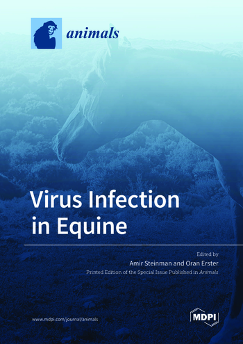 Book cover: Virus Infection in Equine