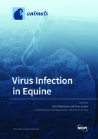 Virus Infection in Equine