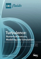 Special issue Turbulence: Numerical Analysis, Modelling and Simulation book cover image
