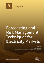Special issue Forecasting and Risk Management Techniques for Electricity Markets book cover image