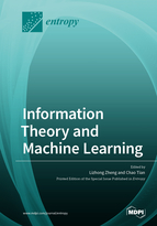 Special issue Information Theory and Machine Learning book cover image