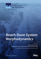 Special issue Beach-Dune System Morphodynamics book cover image