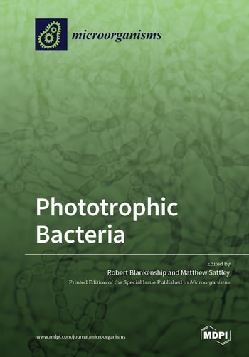 Phototrophic Bacteria