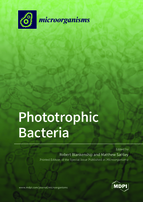 Special Issue Phototrophic Bacteria book cover image