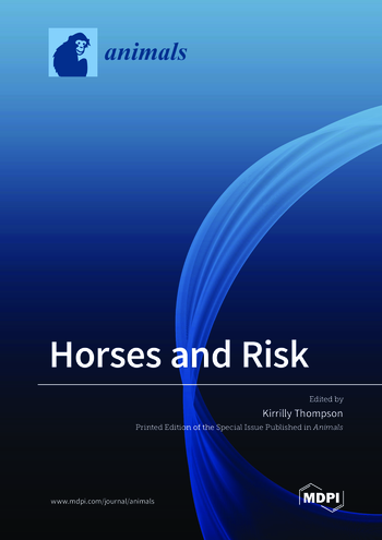 Book cover: Horses and Risk