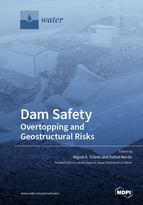 Special issue Dam Safety. Overtopping and Geostructural Risks book cover image