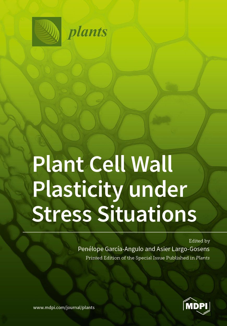 Book cover: Plant Cell Wall Plasticity under Stress Situations