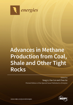 Special issue Advances in Methane Production from Coal, Shale and Other Tight Rocks book cover image
