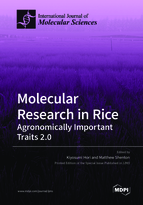 Special issue Molecular Research in Rice: Agronomically Important Traits 2.0 book cover image