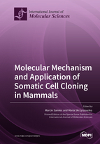 Molecular Mechanism and Application of Somatic Cell Cloning in Mammals