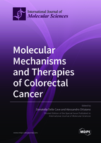 Molecular Mechanisms and Therapies of Colorectal Cancer
