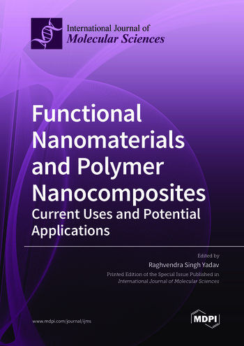 Book cover: Functional Nanomaterials and Polymer Nanocomposites: Current Uses and Potential Applications