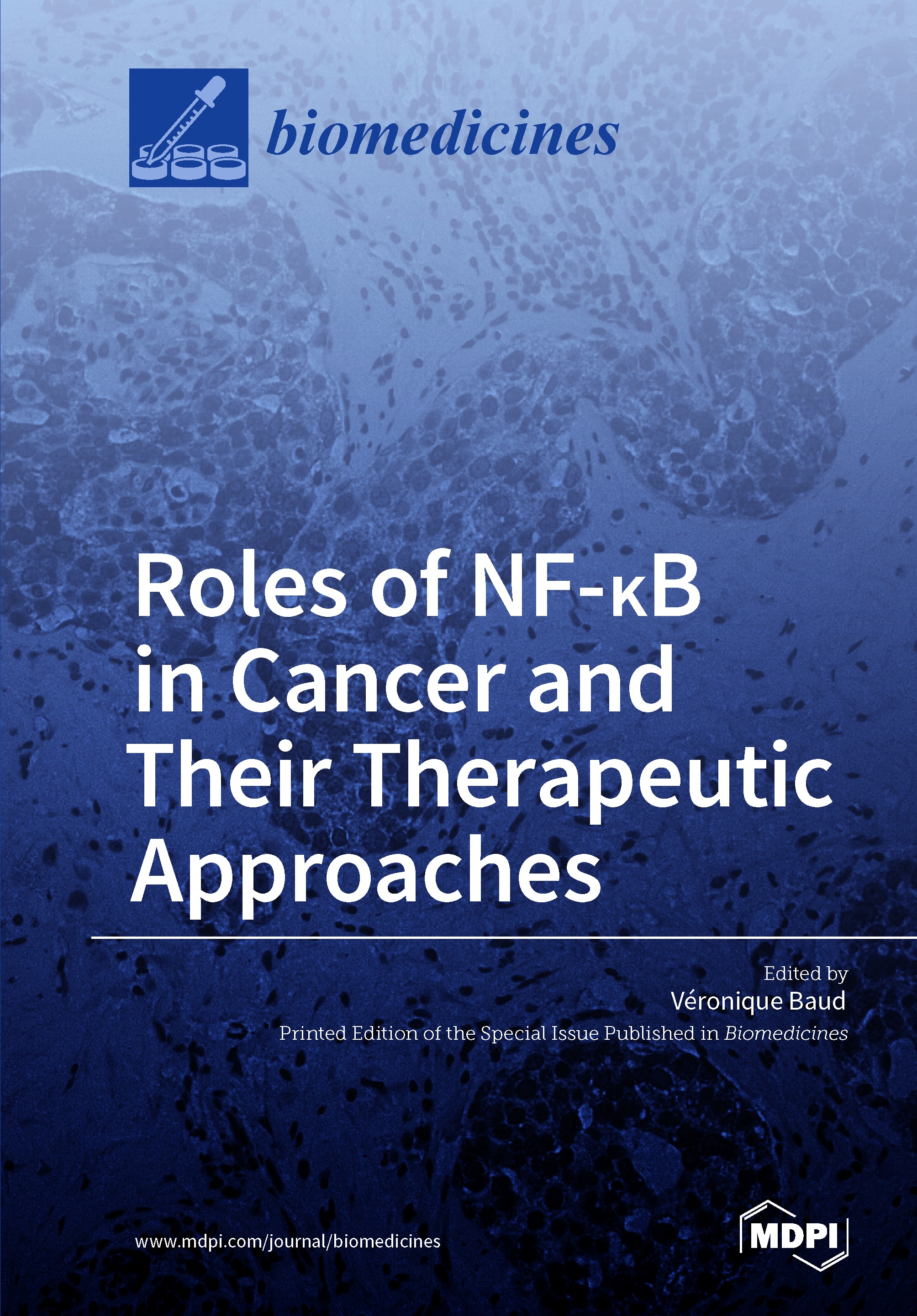 Roles of NF-κB in Cancer and Their Therapeutic Approaches