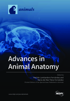 Special issue Advances in Animal Anatomy book cover image