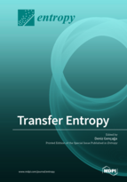 Special Issue Transfer Entropy book cover image