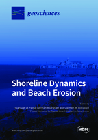 Special issue Shoreline Dynamics and Beach Erosion book cover image