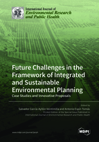 Special issue Future Challenges in the Framework of Integrated and Sustainable Environmental Planning: Case Studies and Innovative Proposals book cover image