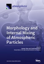 Special issue Morphology and Internal Mixing of Atmospheric Particles book cover image