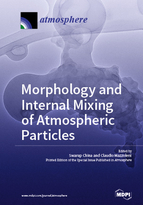 Morphology and Internal Mixing of Atmospheric Particles