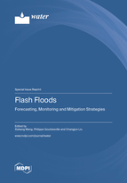 Special issue Flash Floods: Forecasting, Monitoring and Mitigation Strategies book cover image