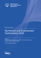 Special issue Numerical and Evolutionary Optimization 2021 book cover image