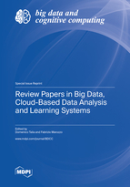 Special issue Review Papers in Big Data, Cloud-Based Data Analysis and Learning Systems book cover image