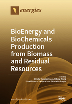 Special issue BioEnergy and BioChemicals Production from Biomass and Residual Resources book cover image
