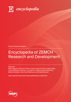 Special issue Encyclopedia of ZEMCH Research and Development book cover image