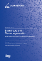 Special issue Brain Injury and Neurodegeneration: Molecular, Functional, and Translational Approach book cover image