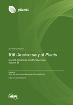Special issue 10th Anniversary of <em>Plants</em>&mdash;Recent Advances and Perspectives book cover image