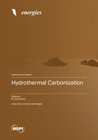 Special issue Hydrothermal Carbonization book cover image