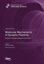 Special issue Molecular Mechanisms of Synaptic Plasticity: Dynamic Changes in Neurons Functions book cover image