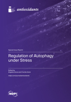 Special issue Regulation of Autophagy under Stress book cover image