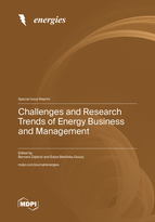 Special issue Challenges and Research Trends of Energy Business and Management book cover image