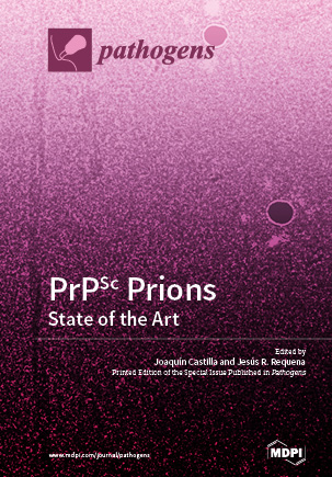 PrPSc Prions: State of the Art