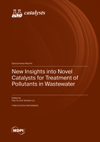 Special issue New Insights into Novel Catalysts for Treatment of Pollutants in Wastewater book cover image