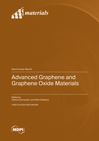 Special issue Advanced Graphene and Graphene Oxide Materials book cover image