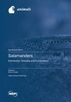 Special issue Salamanders: Distribution, Diversity, and Conservation book cover image